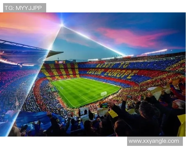 足球明星全景解析与精彩瞬间汇总大全