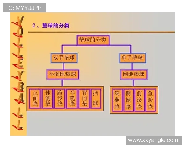 广州排球队的精神之旅：探寻排球背后的团队意识与文化传承